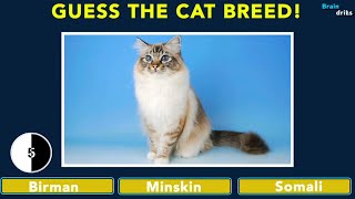 Guess the CAT BREED!? | Species Quiz #3 screenshot 2