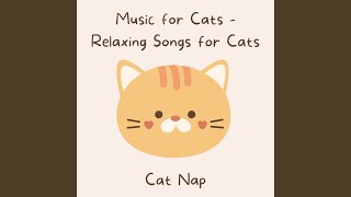 Sleeping Somali - Music for Cats