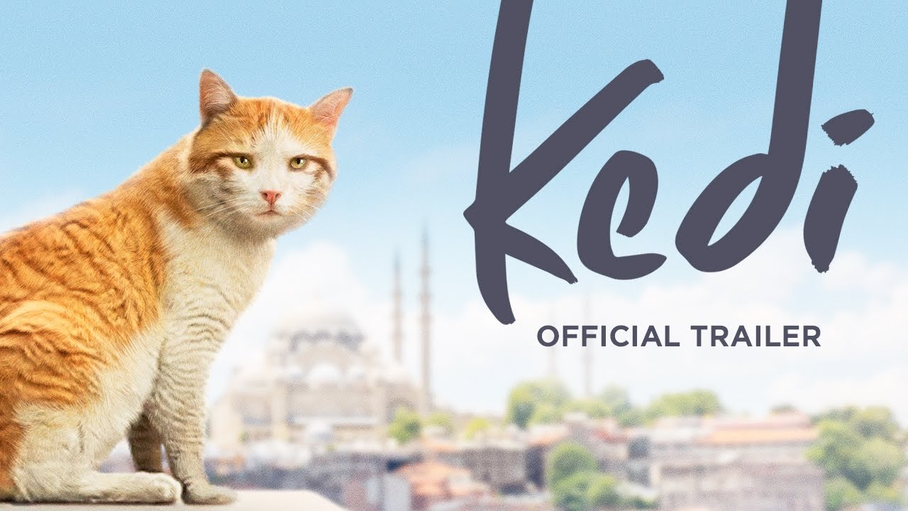 Kedi - Official Movie Trailer - Watch the official trailer for Kedi, a YouTube Red Original Movie. Premieres May 10!