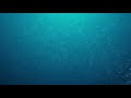 Underwater Background | 4K FREE high quality effects