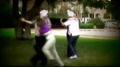 R&D V6 Song, Dassault Systemes / Smarteam 2008