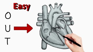 How to Draw A Heart Diagram from 