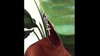 [FREE] JORJA SMITH X GREENTEA PENG TYPE BEAT \