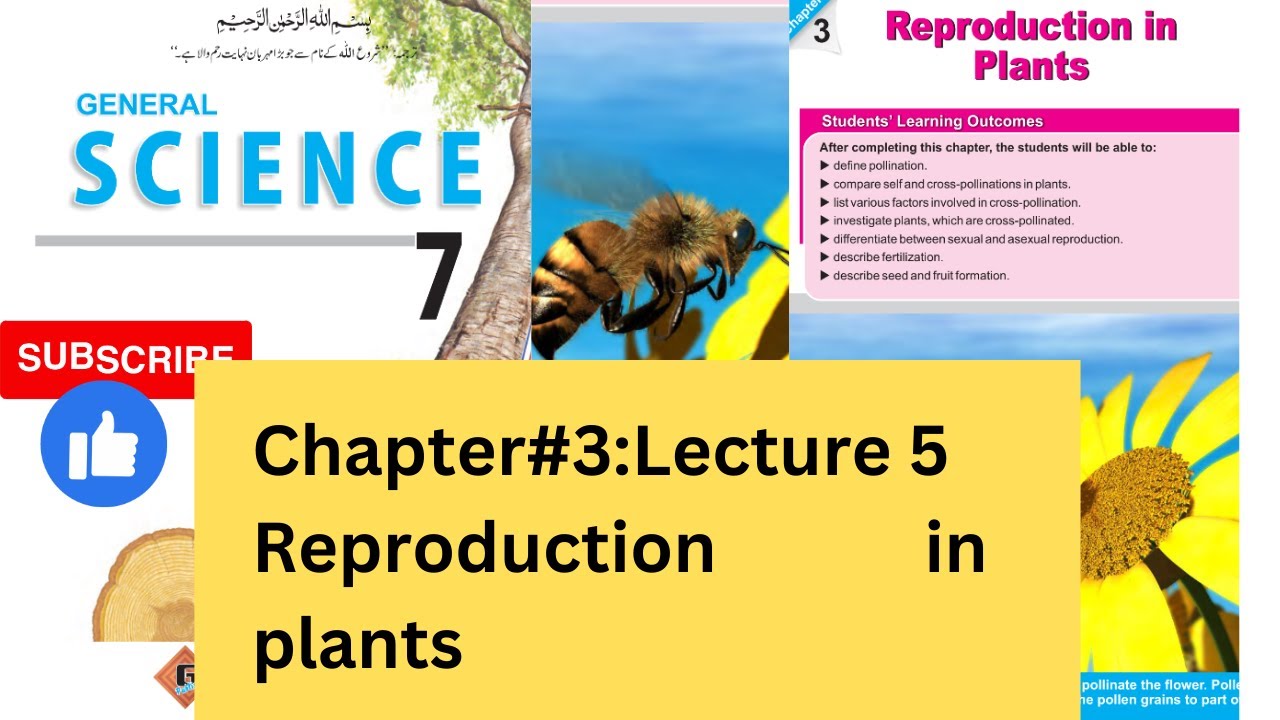Chapter #3: Lecture 1 Grade 7 science PTB|| Reproduction in plants Part-1 Pollination and its types