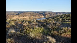 Hiking the Columbia Basin: Frenchman Coulee, Echo Coulee, and Columbia River Flood Basalts