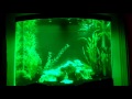 Aquarium LED light convertion
