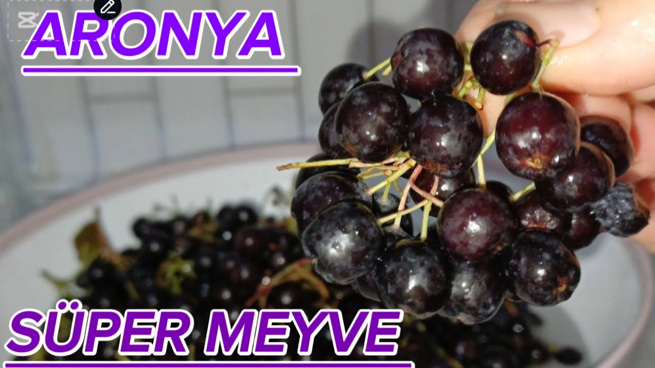 BU YÖNTEMİ ÇOK AZ KİŞİ BİLİYOR🍷ARONYA SİRKESİ NASIL YAPILIR