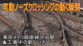 【駅に行って来た】東京メトロ銀座線渋谷駅で可動ノーズクロッシングを見てきた