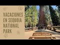 ¡Vacaciones en Sequoia National Park!