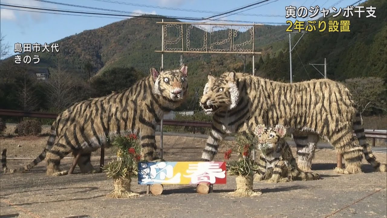 高さ3メートル幅4メートルの巨大「トラ」 静岡・島田市に恒例の
