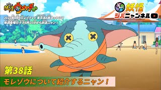 【妖怪ジバニャンネル】第38話モレゾウの紹介ニャン！