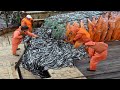 The Most Advance Net Fishing On the Sea - Processing Line Cutting &amp; Cleaning Fish on the Boat