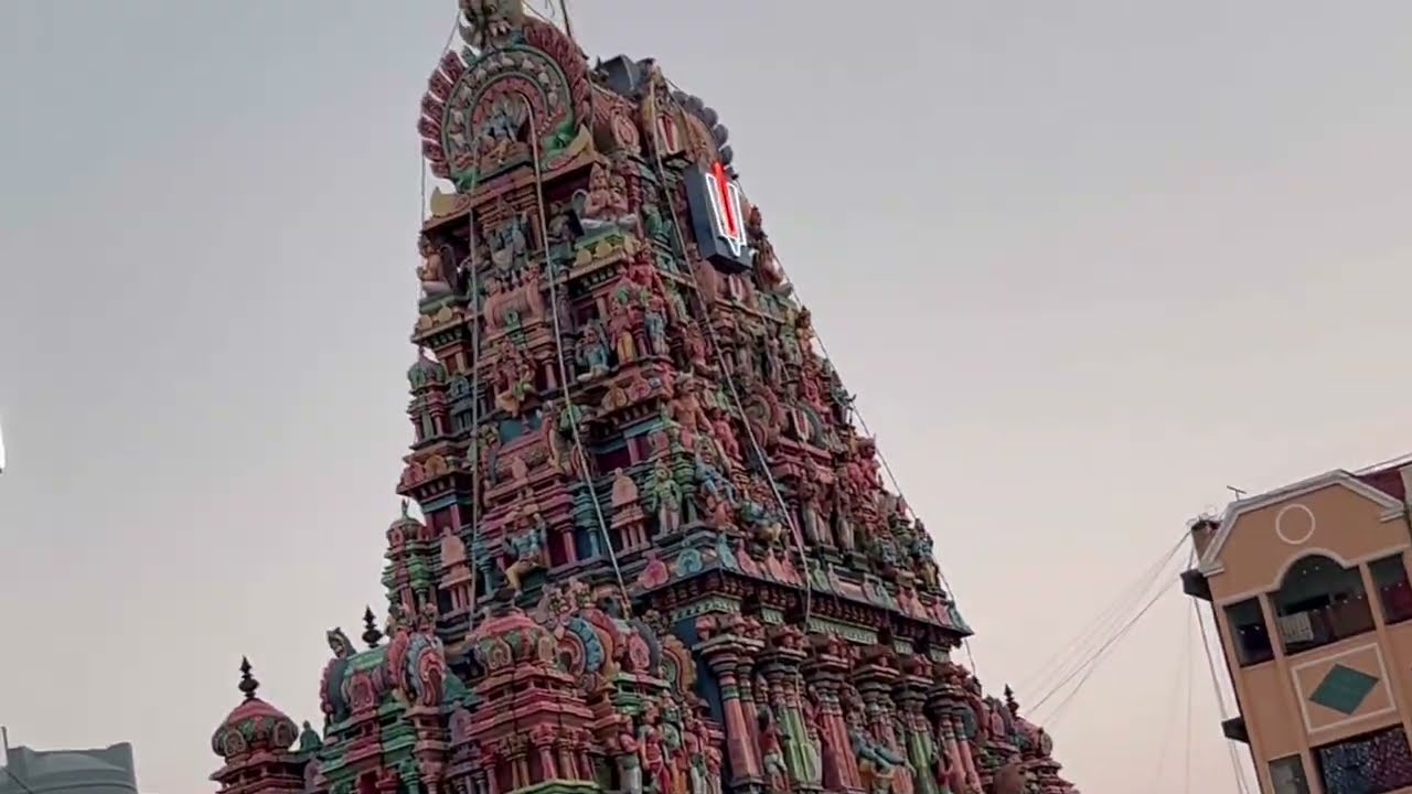 சாரதி எம்பெருமான் தை அமாவாசை திருவீதி உலா