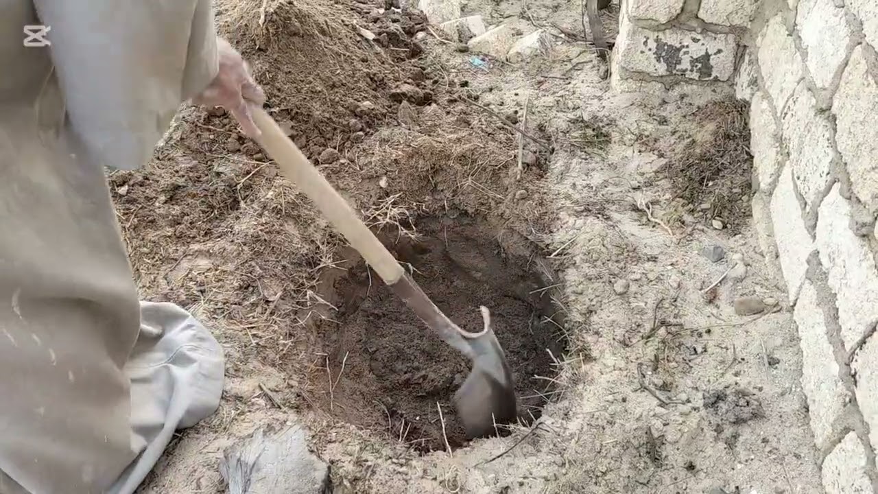 طريقة عمل الكمبوست النباتي من مخلفات المطبخ 