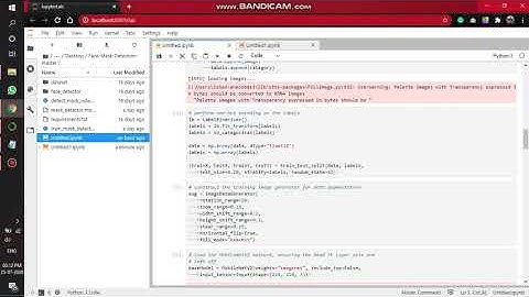 Face Mask Detector Using Python, CNN, Keras, TensorFlow and OpenCV
