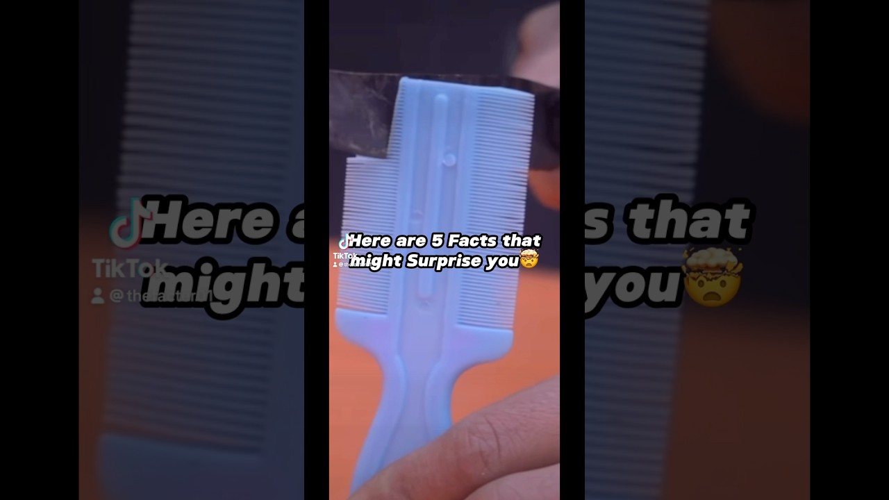 5 Facts That Might SURPRISE You!🤯 #5 