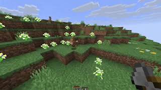 Weird minecraft texture glitch