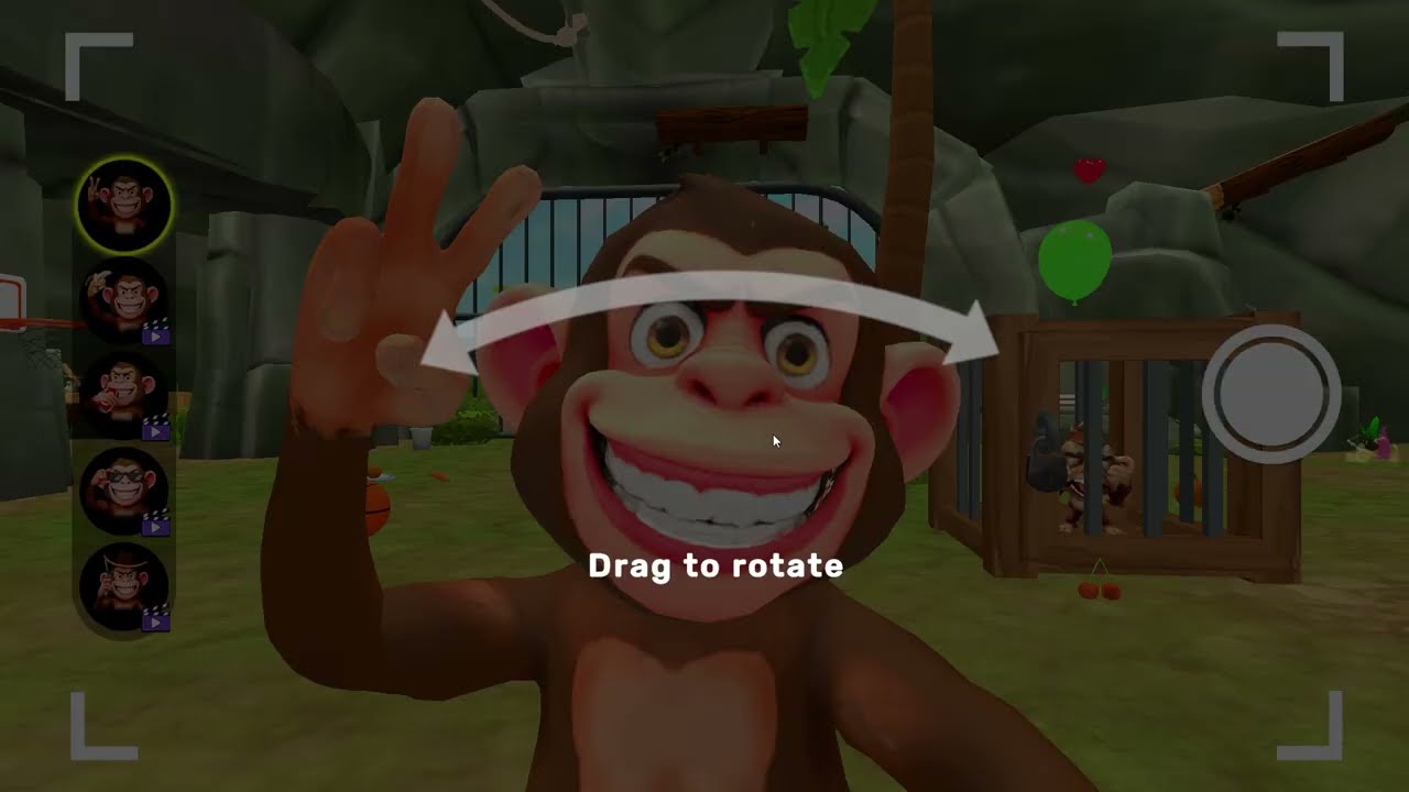 Crazy Zoo Monkey Playing crazy game