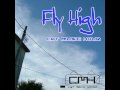 Fly High/キャットミュージックアワー
