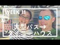 大型バスからタイニーハウスへ　WEEK11【１１月のまとめ、ペイント＆壁フレーミング】
