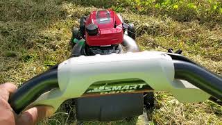 cutting tall grass with a noncommercial honda lawn mower