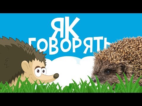 Як Говорять Тварини! Розвиваючі Мультики Для Дітей Українською Мовою