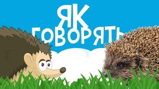 ЯК ГОВОРЯТЬ ТВАРИНИ! Розвиваючі мультики для дітей українською мовою