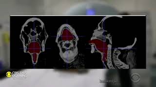 Mummy Voice But The Mummy Is From Anime