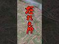 サバゲーで起こった爆笑の瞬間! 令和の百姓一揆&撃ったの誰!? #サバゲー #サバイバルゲーム #airsoft #こくりんごのサバゲー劇場