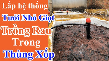Hướng Dẫn Lắp Hệ Thống Tưới Nhỏ Giọt Cho Vườn Rau, Cây Cảnh Trồng Trong Chậu | Thagi Garden