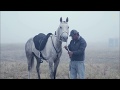 What About Us~Horse Racing Music Video