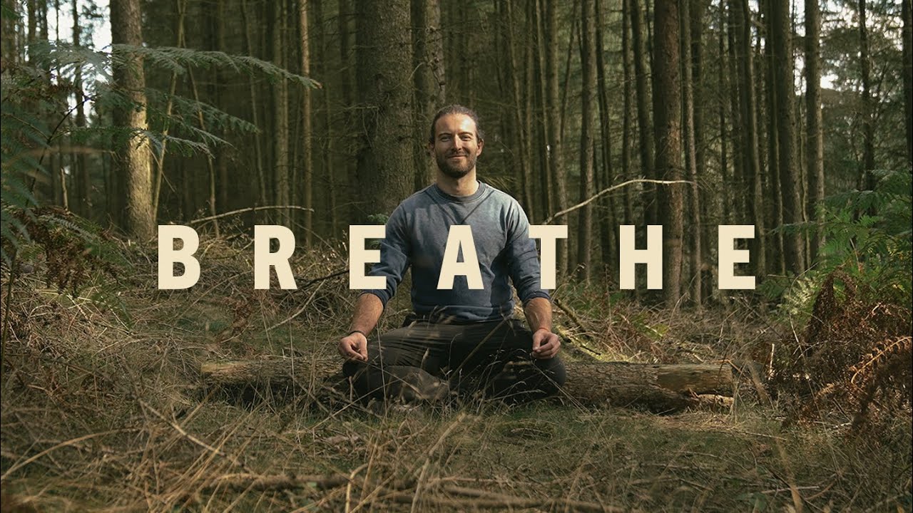 Wake up and energise your nervous system - quick and easy breath work practice