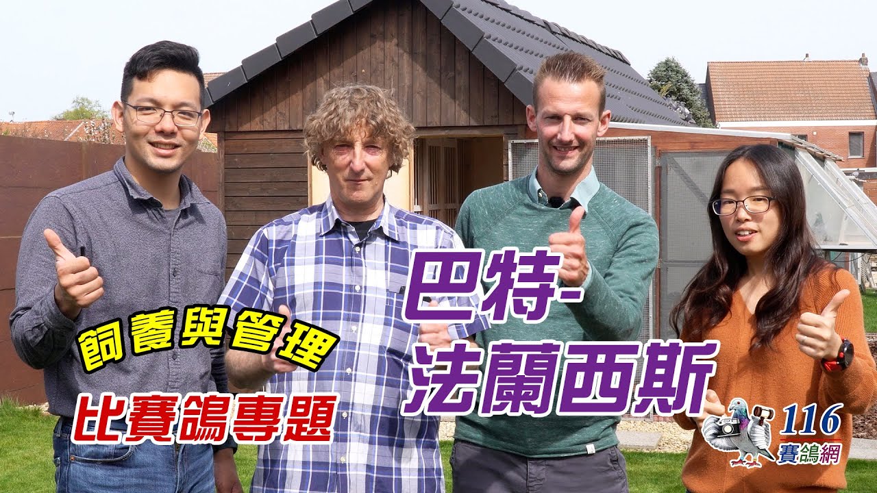 【比賽管理】歐洲比賽鴿舍專題-巴特-法蘭西斯丨【Feeding and Management#18】European Racing loft- Bart-Francis