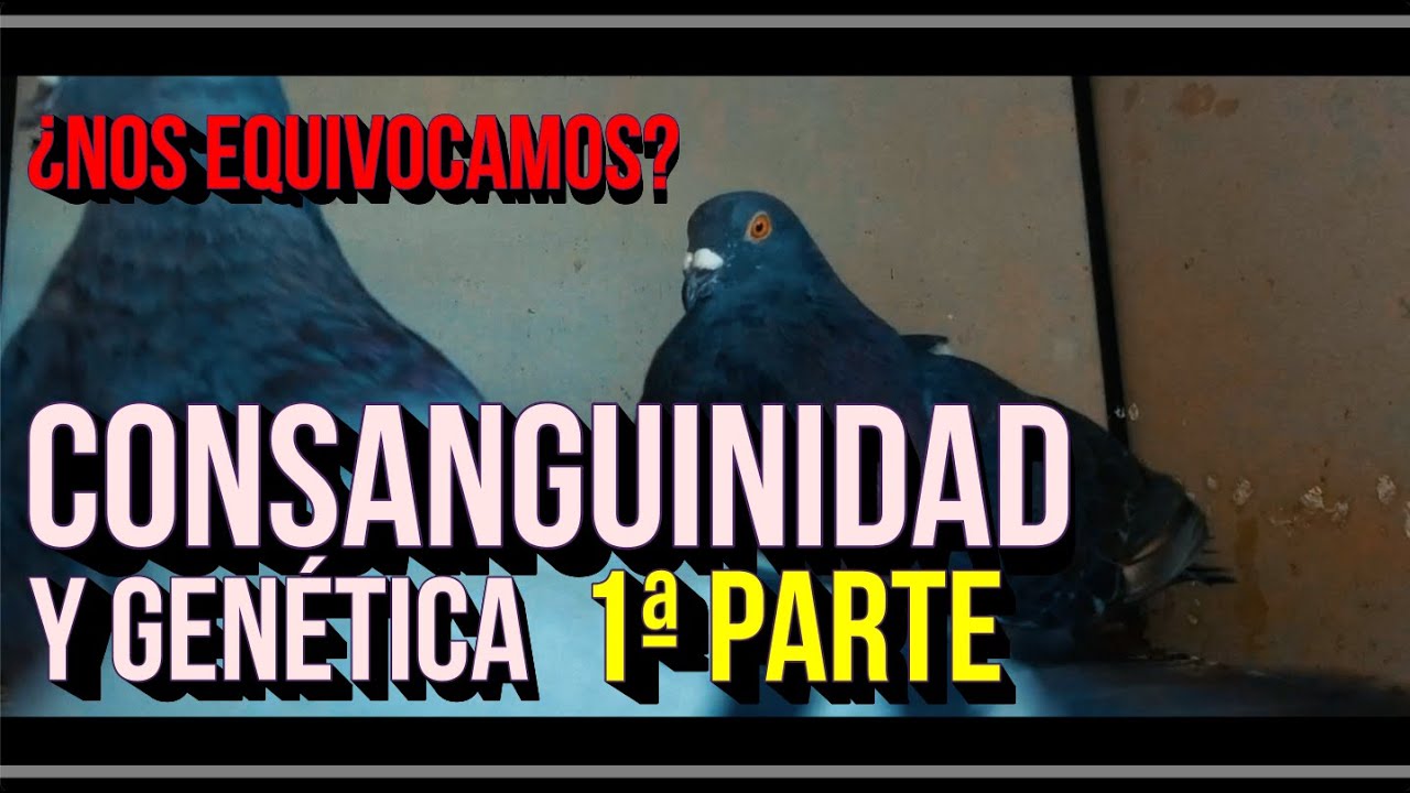 CONSANGUINIDAD y Genética.💞👭  Catedrático don Francisco Javier Cañón 🤫🤫 ¿Nos equivocamos?🤔 Parte 1