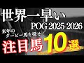 【POG】世界一早いPOG2025-2026注目馬10選!来年のダービー馬を探せ!【競馬】