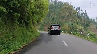 Toyota Alphard dijalan Pegunungan