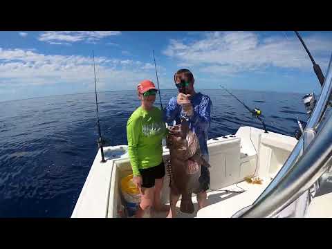 Big Snowy Grouper
