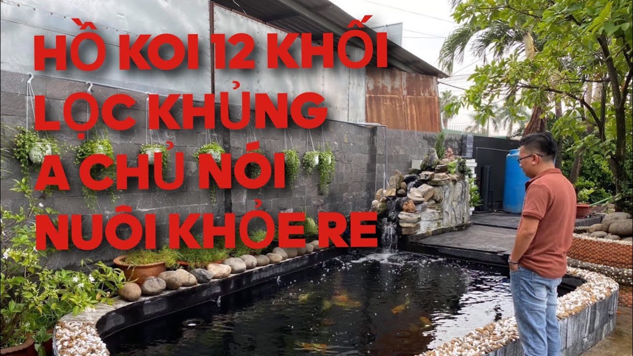 HỒ KOI 12 KHỐI LỌC KHỦNG _ CHỦ NHÀ BẢO NUÔI SƯỚNG || CÁ KOI VLOG TRẦN ĐỨC CƯỜNG