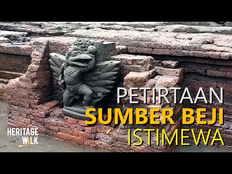 Video: Apa yang kita ketahui tentang sinar-X?