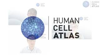 HCA General Meeting 2021 virtual - Day 1 and 2 Bionetwork Synopsis