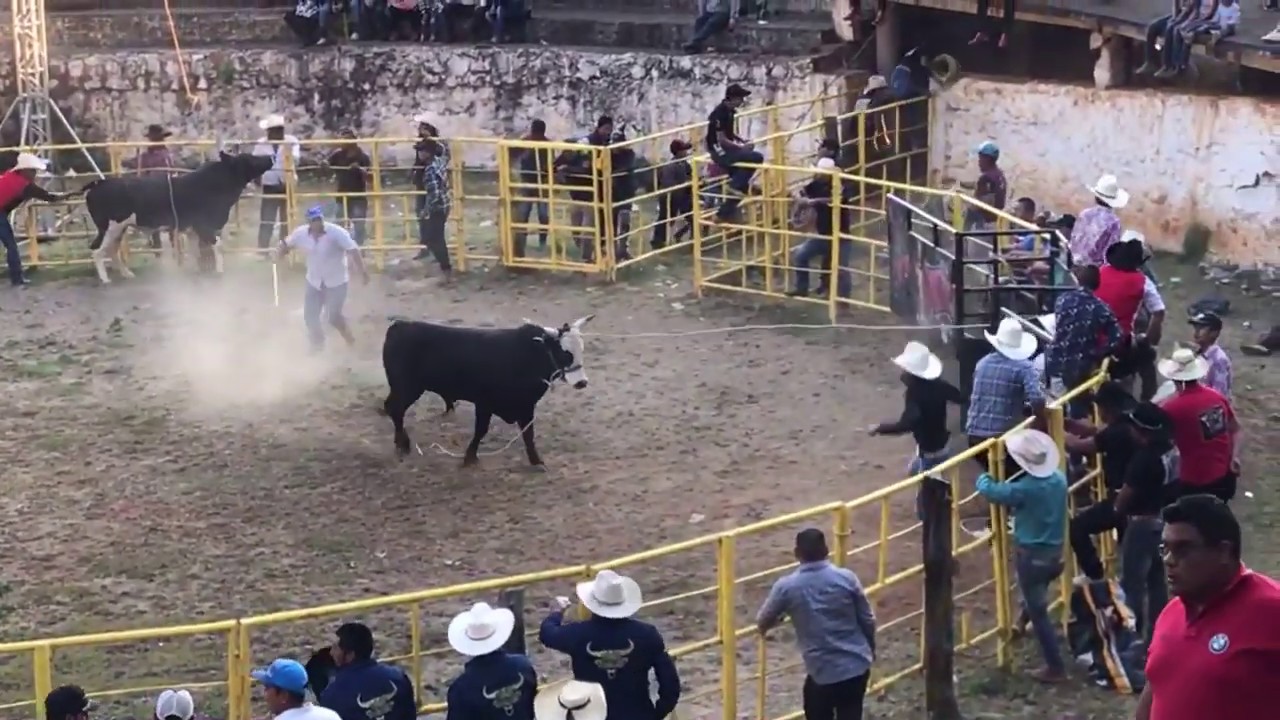 EN VIVO JARIPEO EN ZIRAHUEN MICHOACAN 2019 +6 GANADERÍAS 17 DE FEBRERO jaripeo outfits