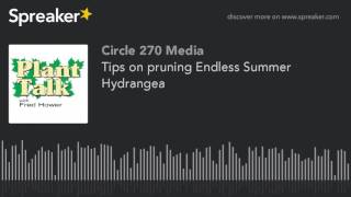 Tips on pruning Endless Summer Hydrangea