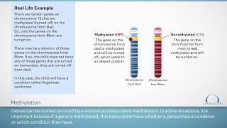 Genetic Counseling Flipbook Tutorial