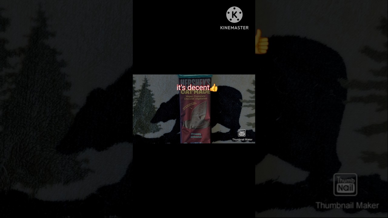 # Hershey's Oat,Made Vegan Chocolate Bar Taste Test