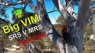 BIG VIM ONE (SRT or SRS and DRT or MRS) Climbing Big Vim By STC