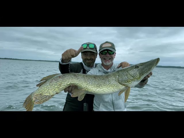 Bisca Pro Fishing