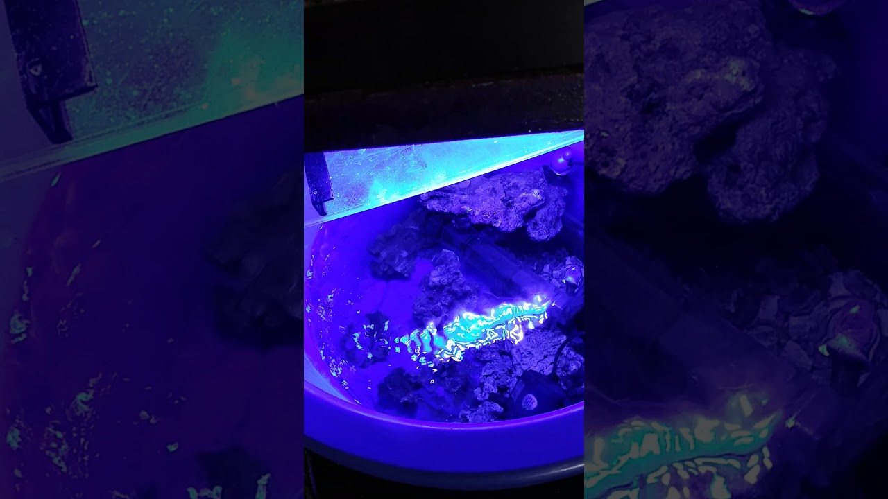 camera iphone 8 plus apk Mixed reef tank transfer.