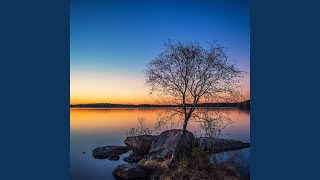 Reflective Cadence's Meditation