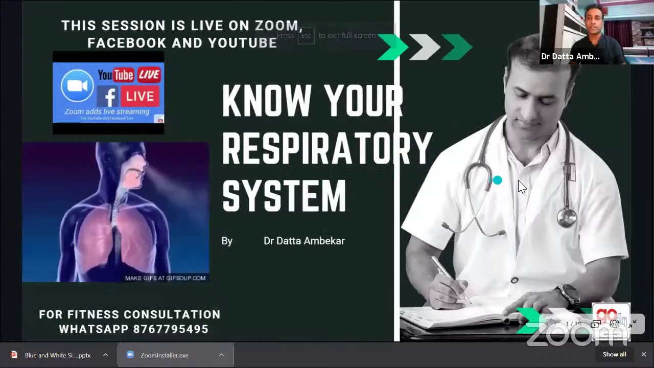 respiratory system