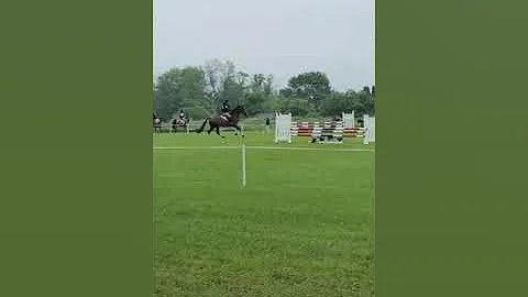Harry Larkin Hill June 2019